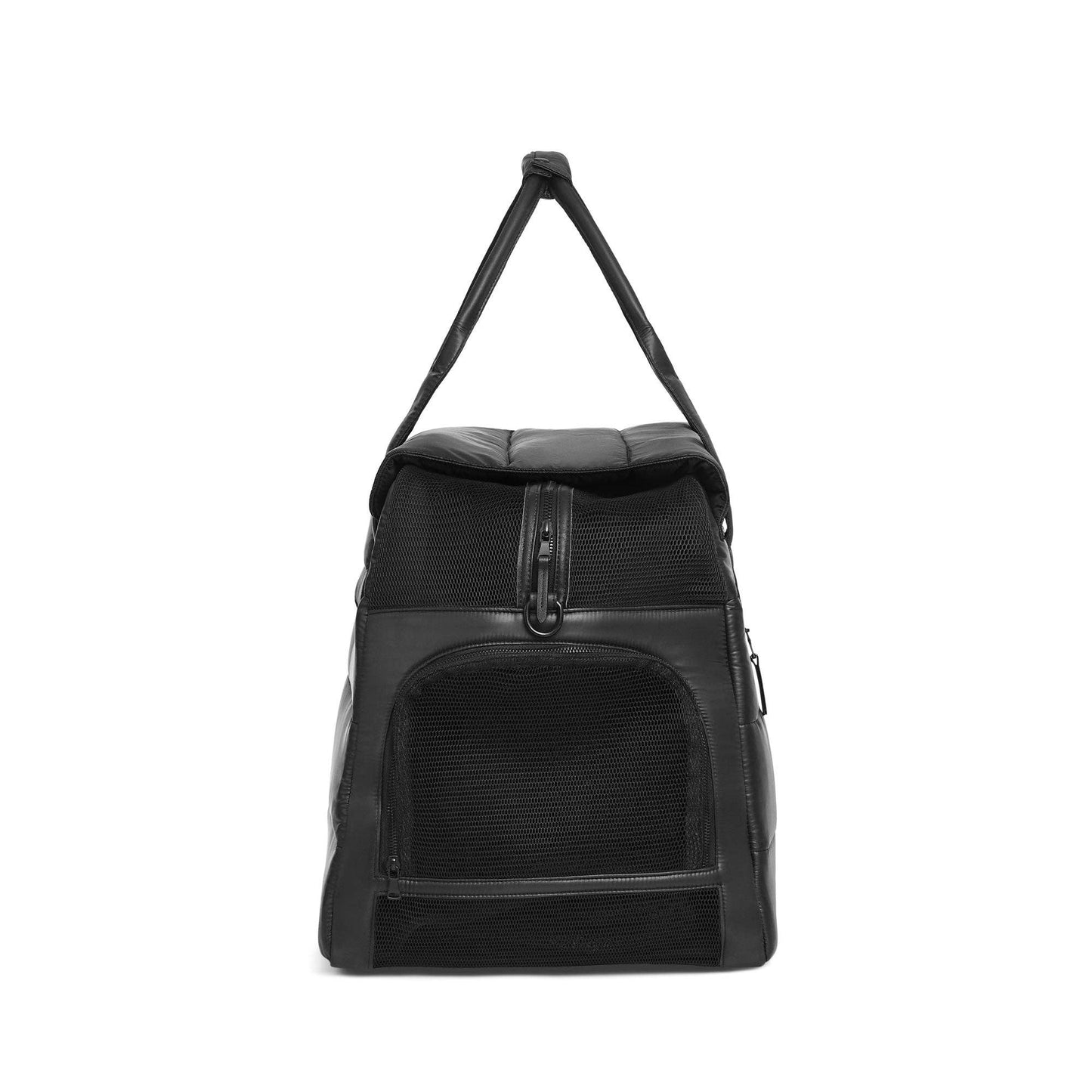 Destination Hundetasche – Limitierte Auflage 
