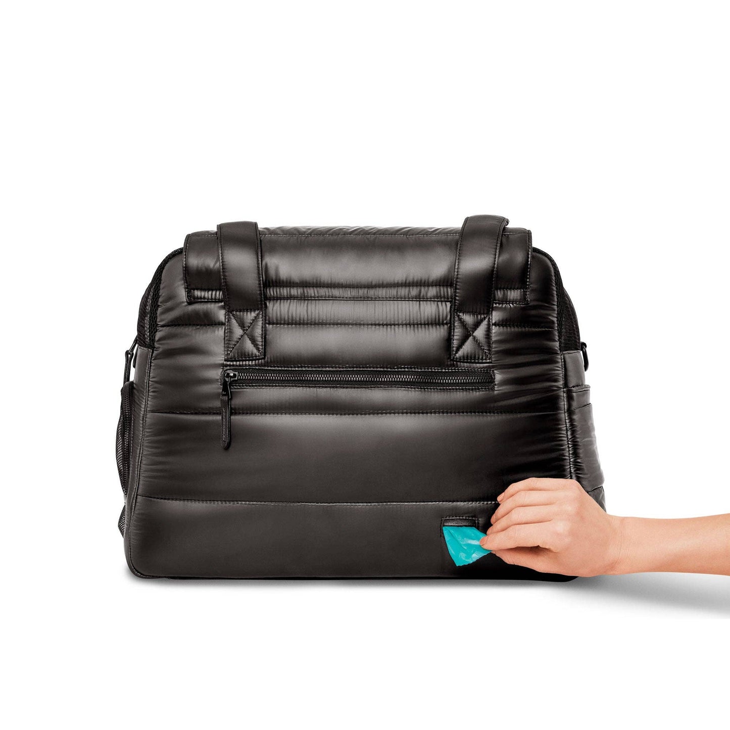 Destination Hundetasche – Limitierte Auflage 