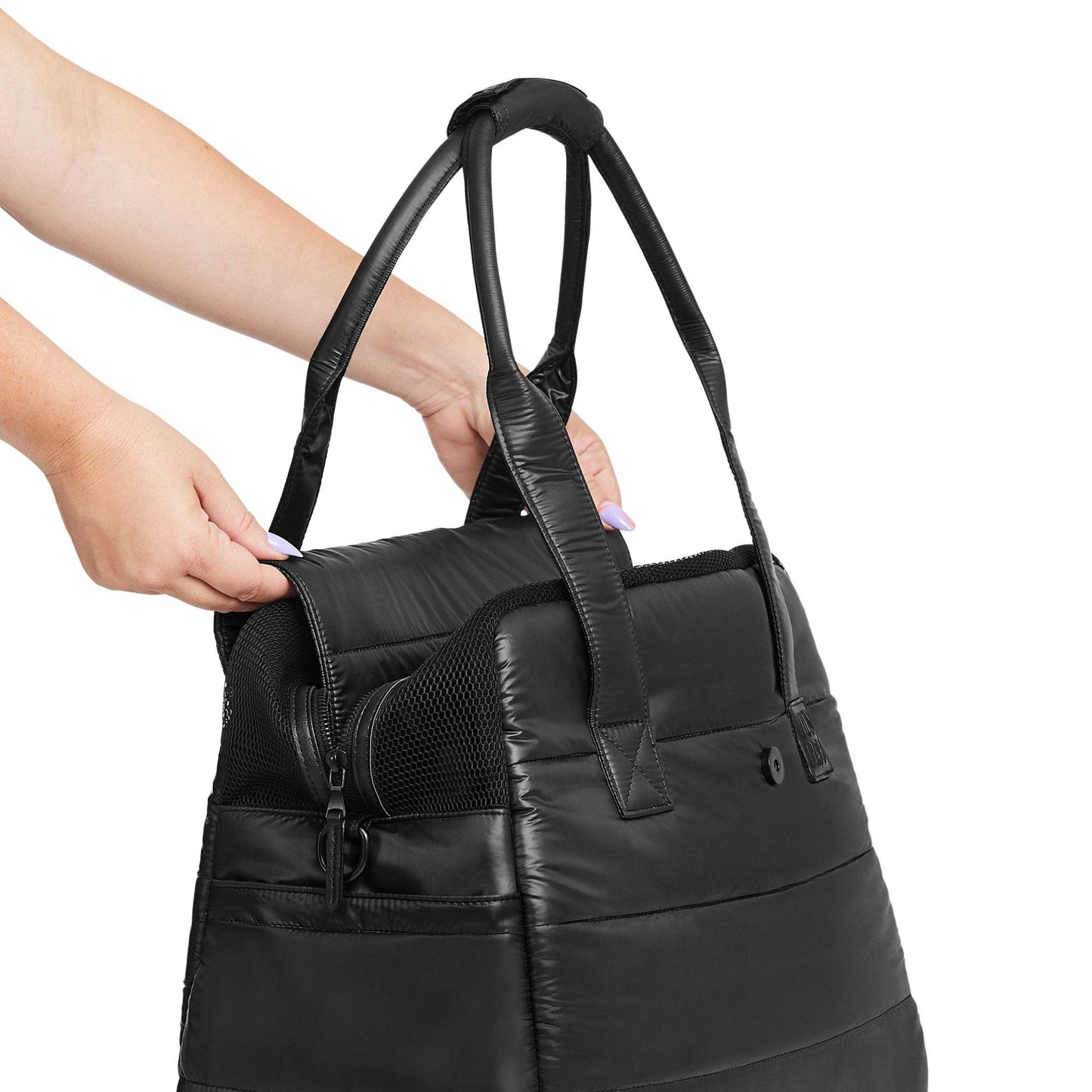 Destination Hundetasche – Limitierte Auflage 