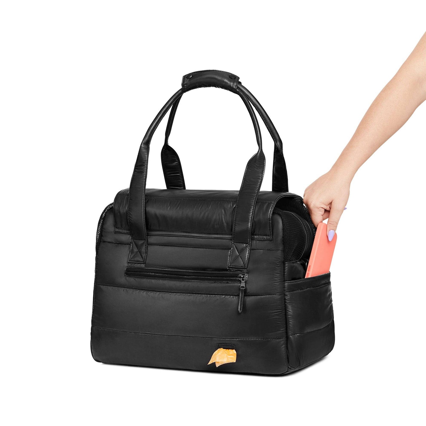 Destination Hundetasche – Limitierte Auflage 