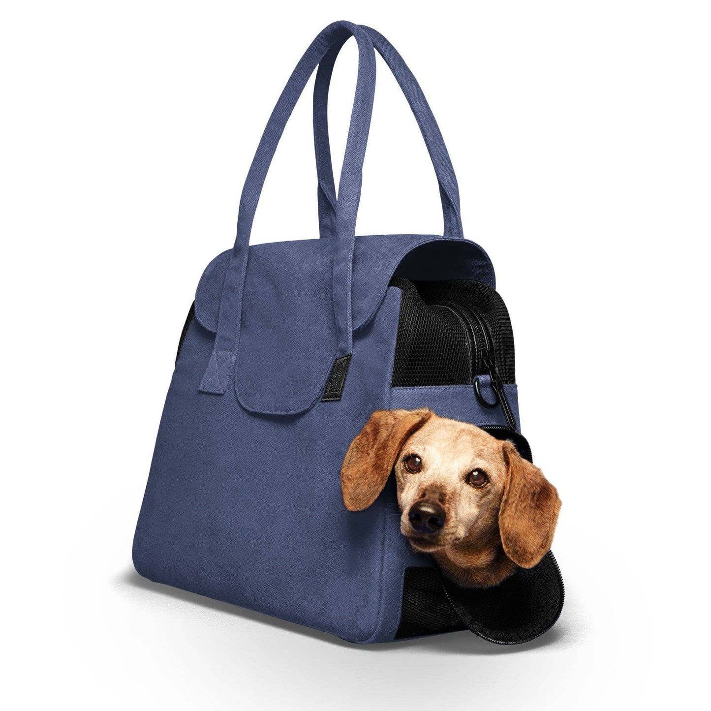 Destination Hundetasche 