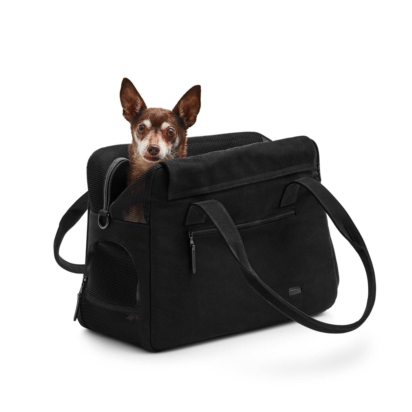 Destination Hundetasche 