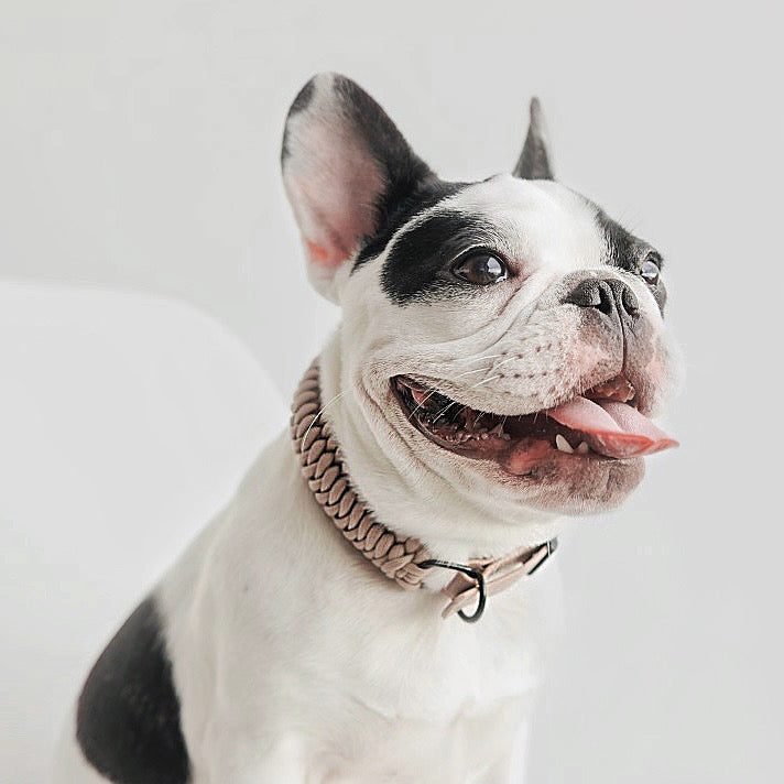 NEUES JUPITER-Halsband