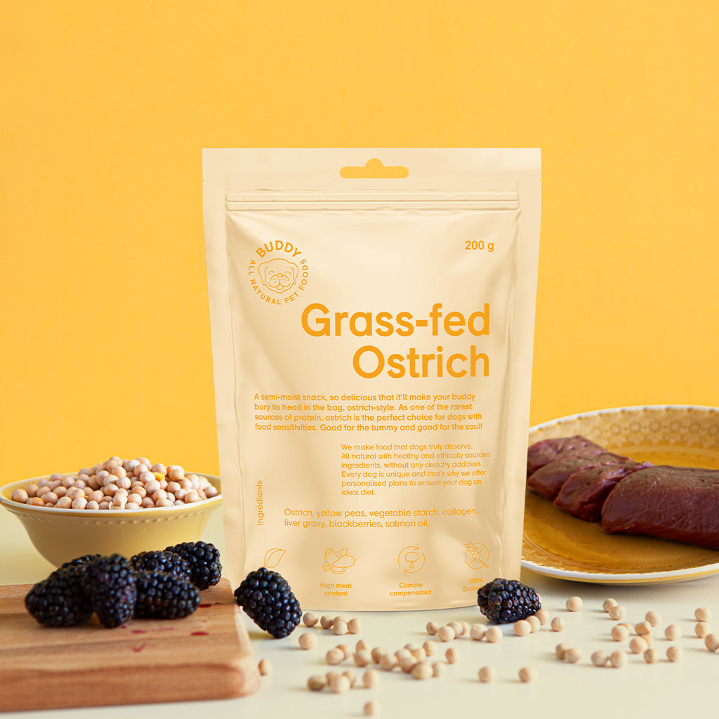 Ostrich & Blackberry Snack