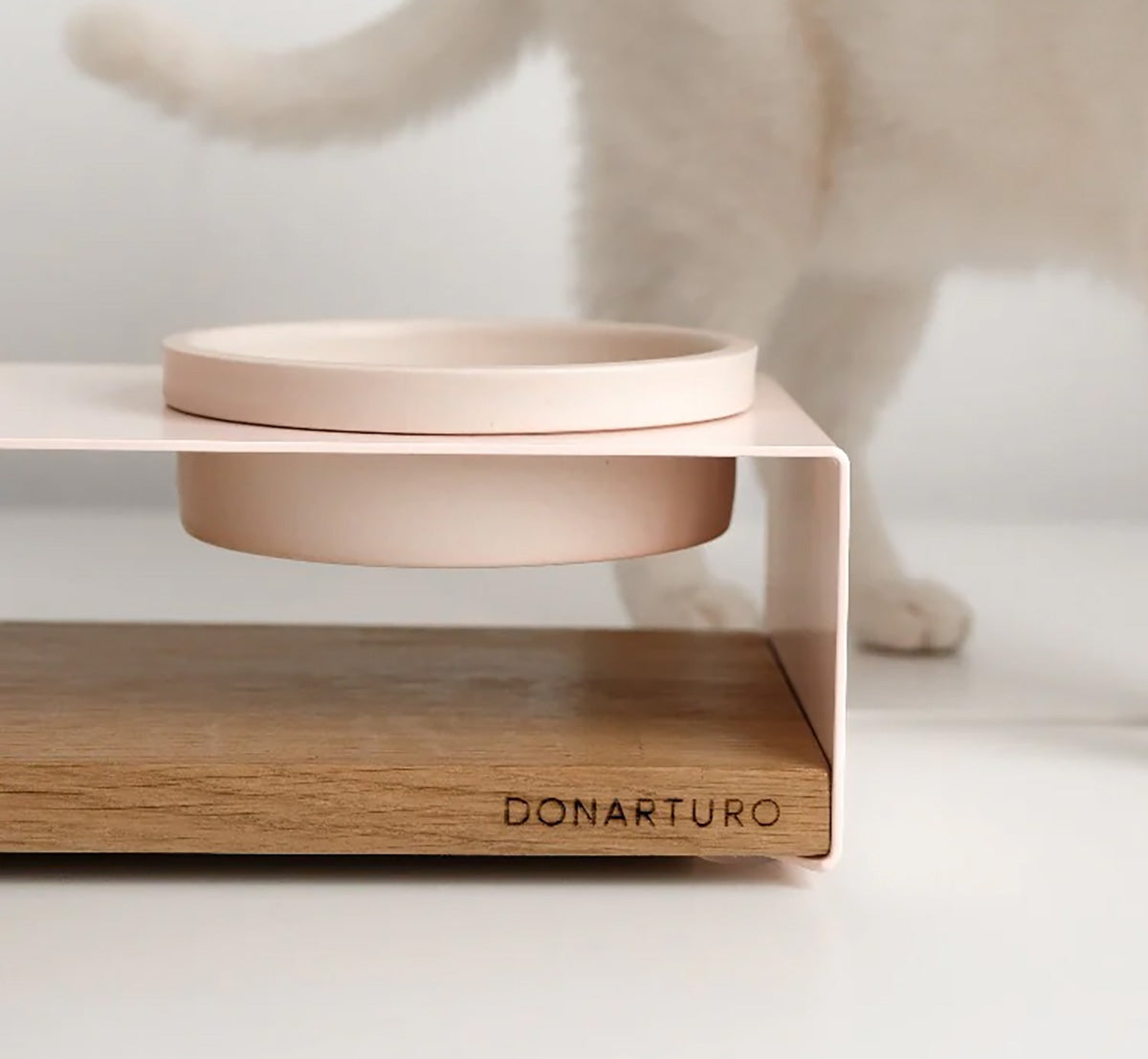 TECCÀ Dog Feeder