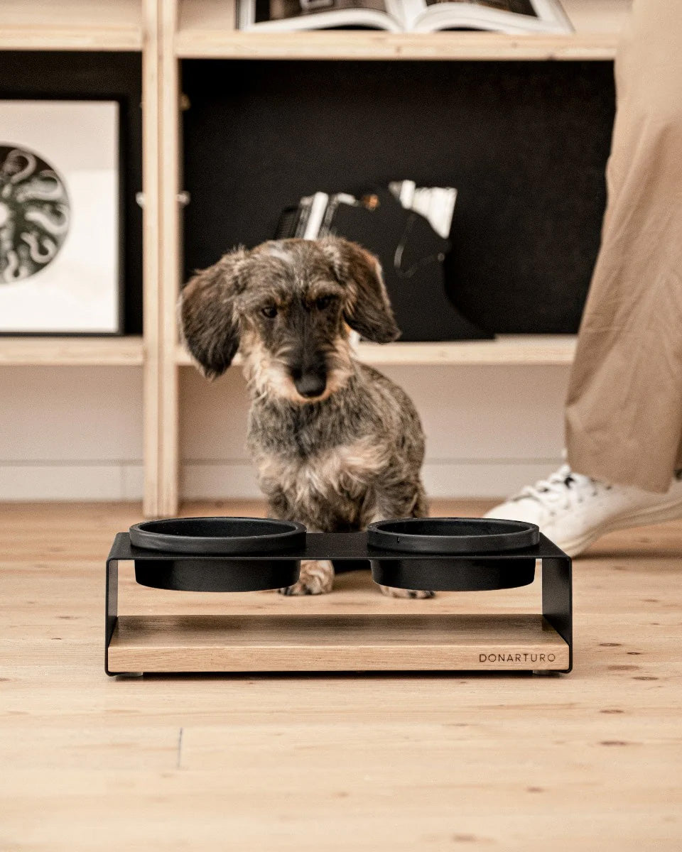 TECCÀ Dog Feeder